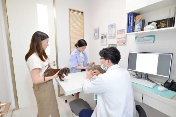 瑞派虹泰环城总院 | 打造“一站式宠物诊疗空间”，定义全国宠物医疗新高度 