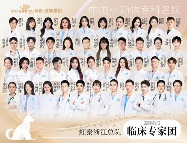 瑞派虹泰环城总院 | 打造“一站式宠物诊疗空间”，定义全国宠物医疗新高度 