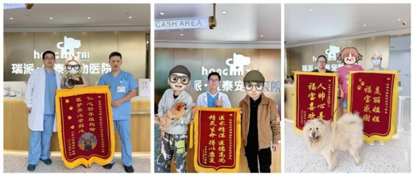 瑞派虹泰环城总院 | 打造“一站式宠物诊疗空间”，定义全国宠物医疗新高度 