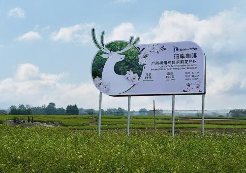 谋划已久，瑞幸打出一张新牌！咖啡卷到“原产地” 