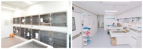 瑞派虹泰环城总院 | 打造“一站式宠物诊疗空间”，定义全国宠物医疗新高度 