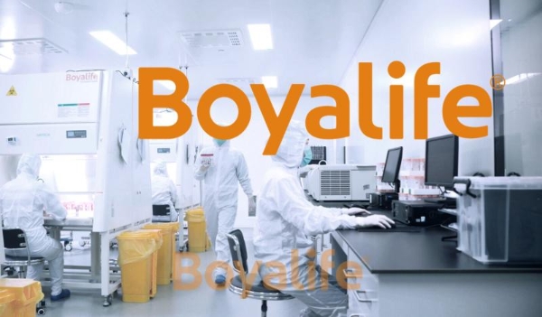 免疫细胞存储机构挑选指南：从头部细胞库实践看行业高标准与服务创新 