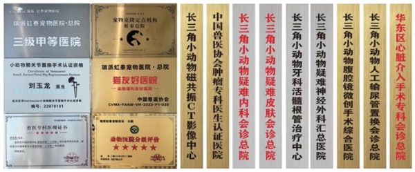 瑞派虹泰环城总院 | 打造“一站式宠物诊疗空间”，定义全国宠物医疗新高度 