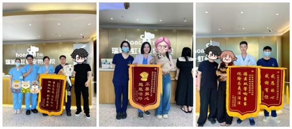 瑞派虹泰环城总院 | 打造“一站式宠物诊疗空间”，定义全国宠物医疗新高度 