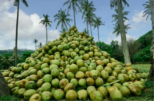 谋划已久，瑞幸打出一张新牌！咖啡卷到“原产地” 