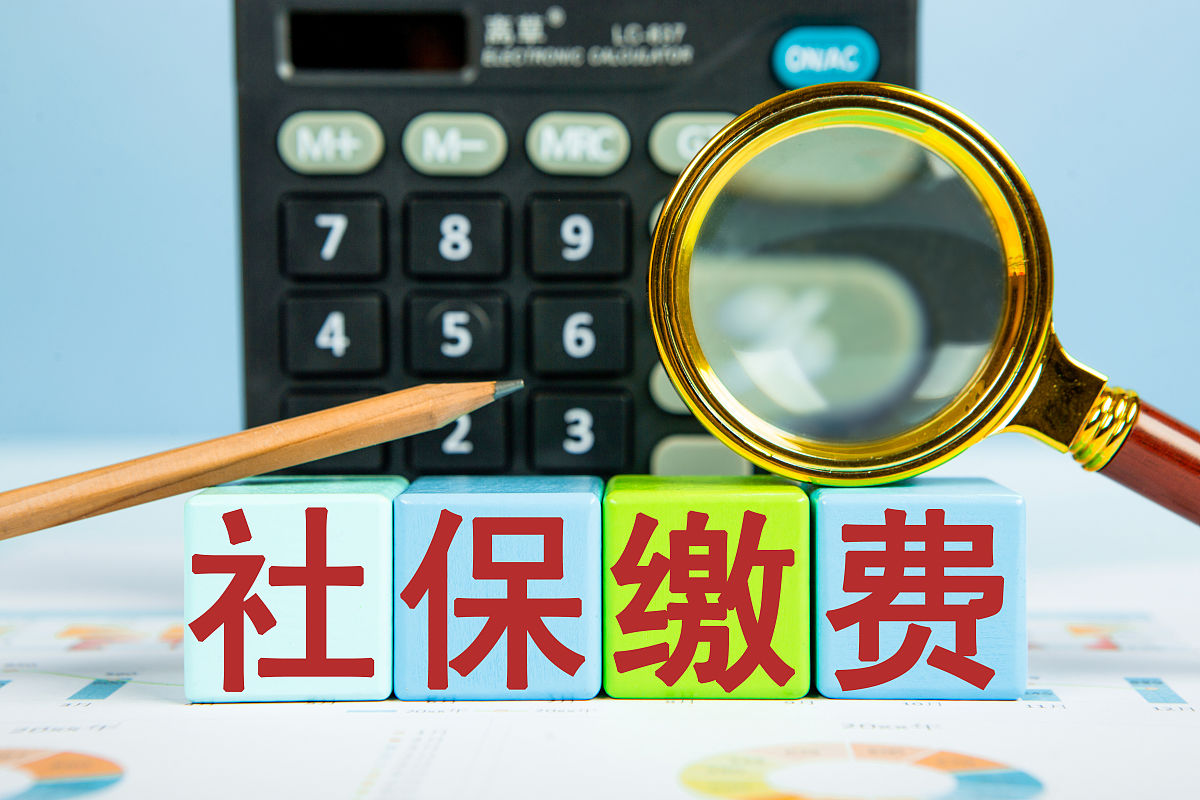 怎么查询社保缴费记录？一分钟看懂你缴了多少钱，建议收藏！