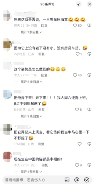 一只猫咪在大树上安逸睡觉 吹着小风很惬意 网友：这姿势咋“解锁”
