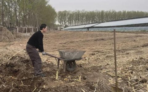 俯身田野，我为什么喜欢上了“重复劳作”？