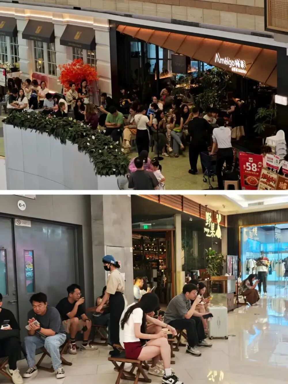 餐饮新贵“云贵川漂亮饭”：还能火多久？