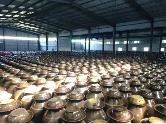 餐饮新贵“云贵川漂亮饭”：还能火多久？