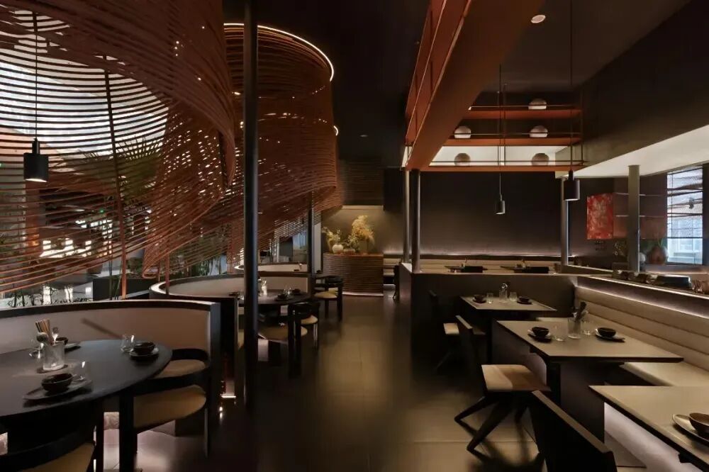 餐饮新贵“云贵川漂亮饭”：还能火多久？