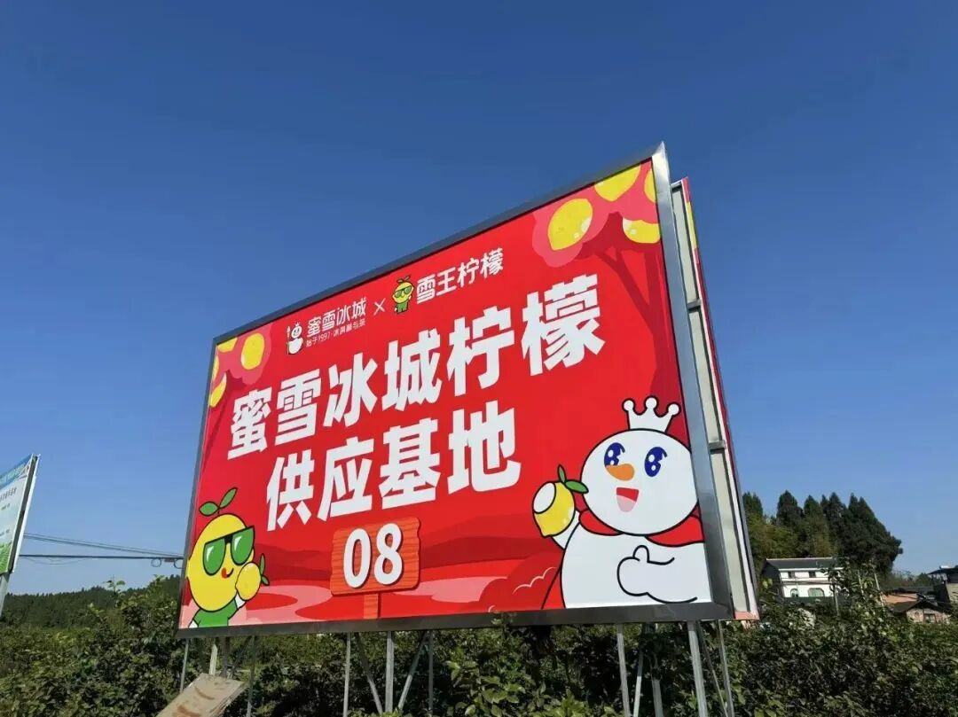 雪王栽在柠檬上！其他茶饮躲过一劫的 5 个秘诀，从业者早该看透