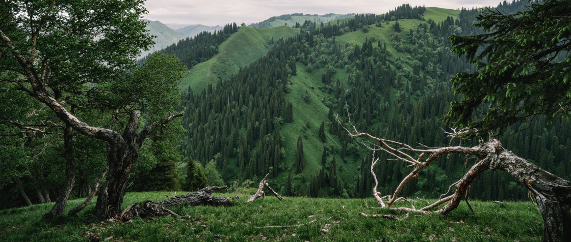那拉提的48小时