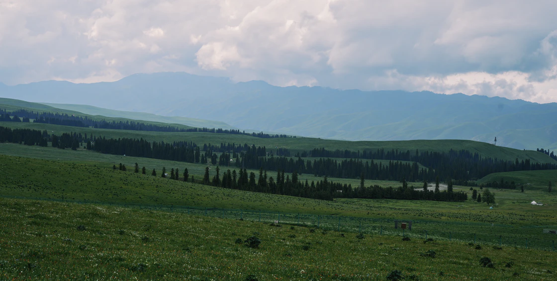 那拉提的48小时