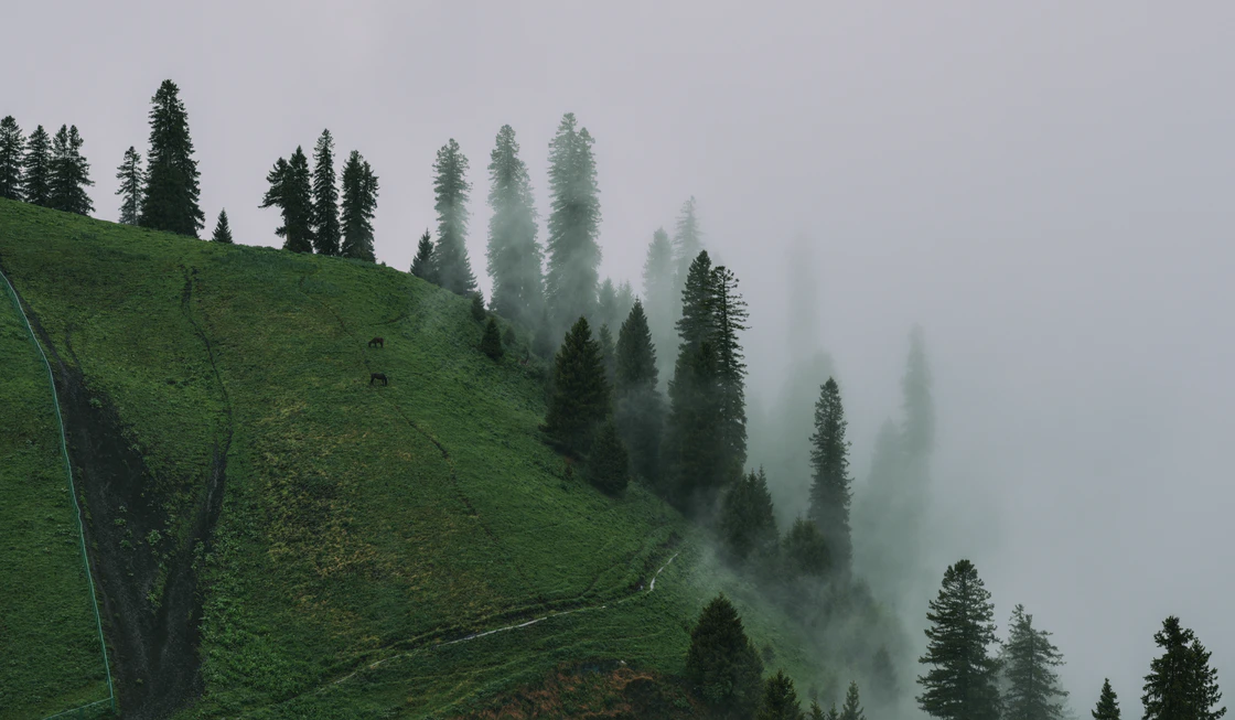 那拉提的48小时