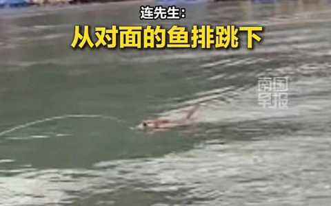 820db8c6edd0415fa4b14807c11a571d~tplv-tt-origin-web:gif