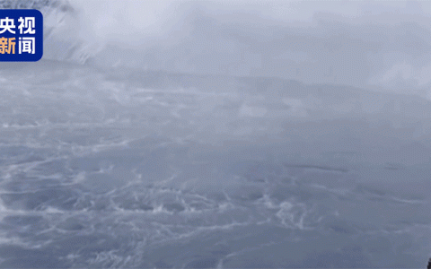 89ab66c44bce4235a39572b43ef25def~tplv-tt-origin-web:gif