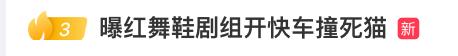 红舞鞋剧组撞猫司机已辞职,"小橘子"从排水沟获救到成为校宠的3年,被剧组11秒终结