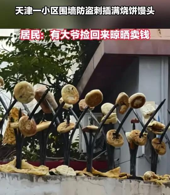天津一小区围墙防盗刺插满烧饼馒头，社区要清理，网友却吵了：别只堵不疏