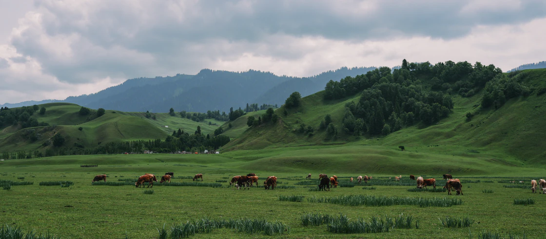 那拉提的48小时