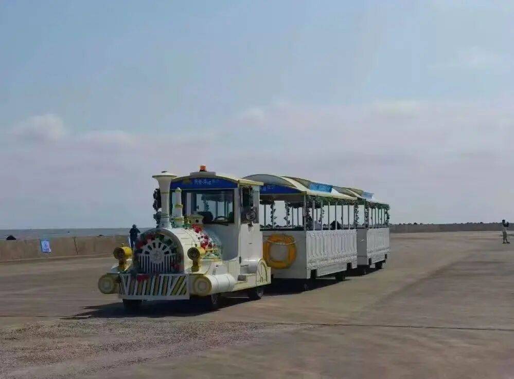 江苏启东观光车事故4人遇难，江苏观光车落水相关责任人已被控制