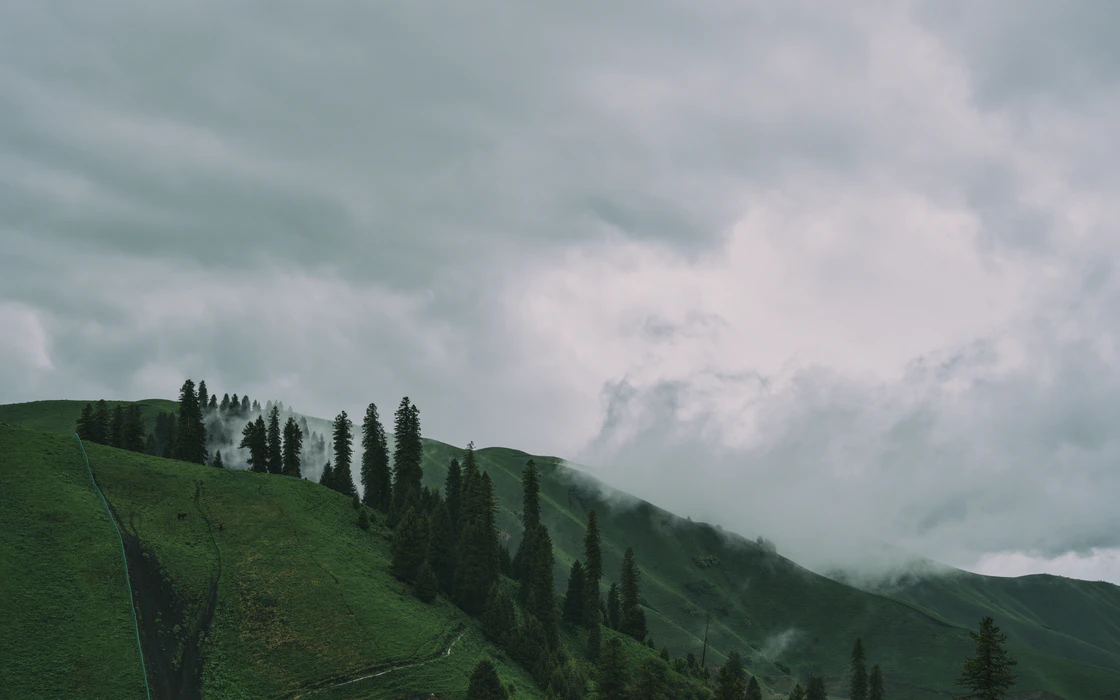 那拉提的48小时