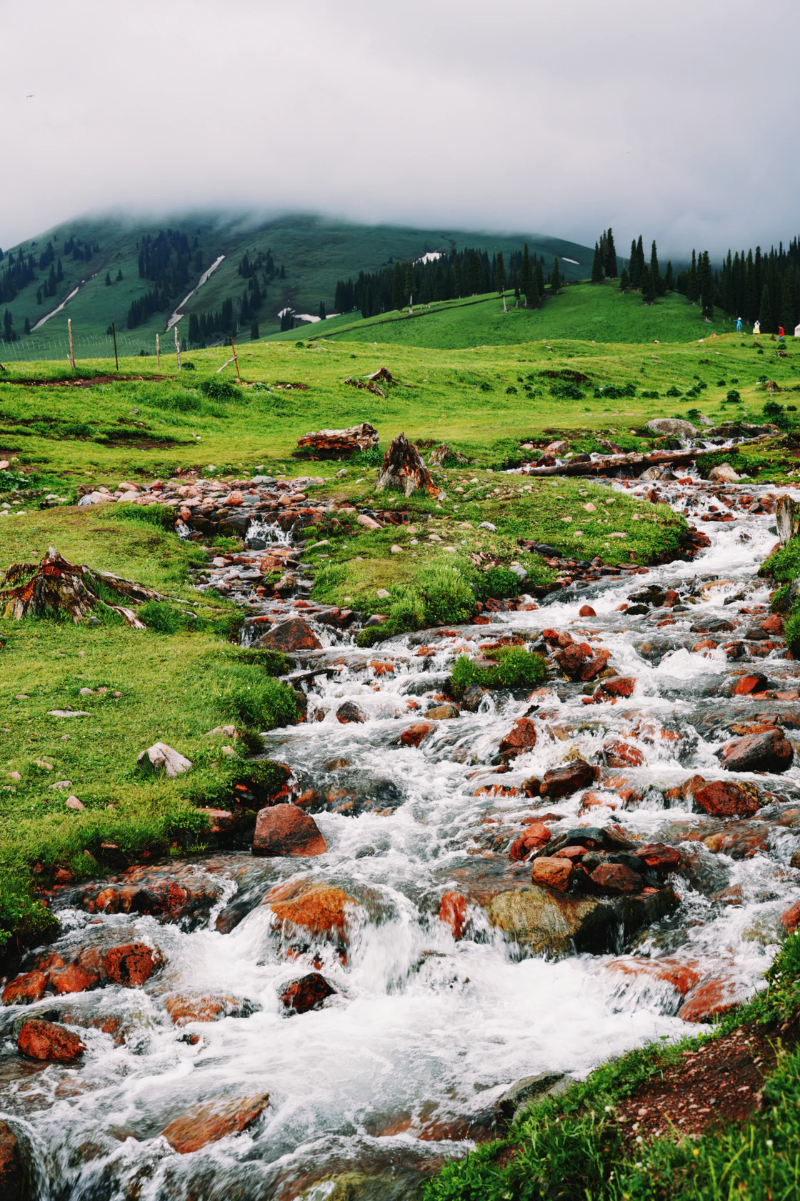 那拉提的48小时