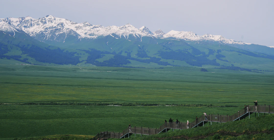 那拉提的48小时