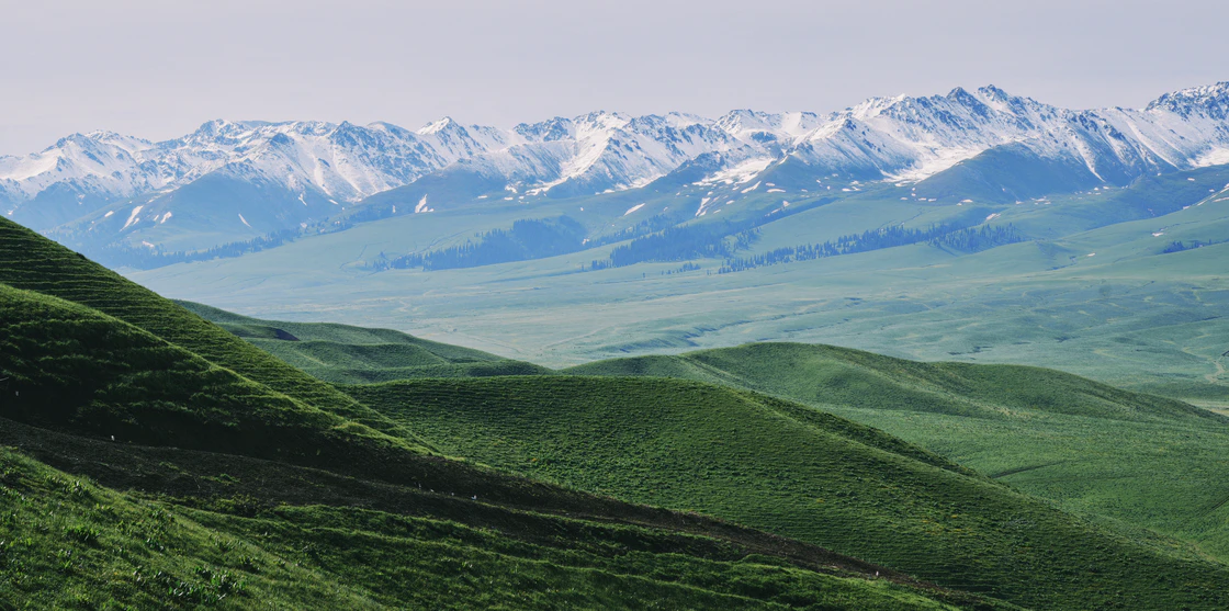 那拉提的48小时