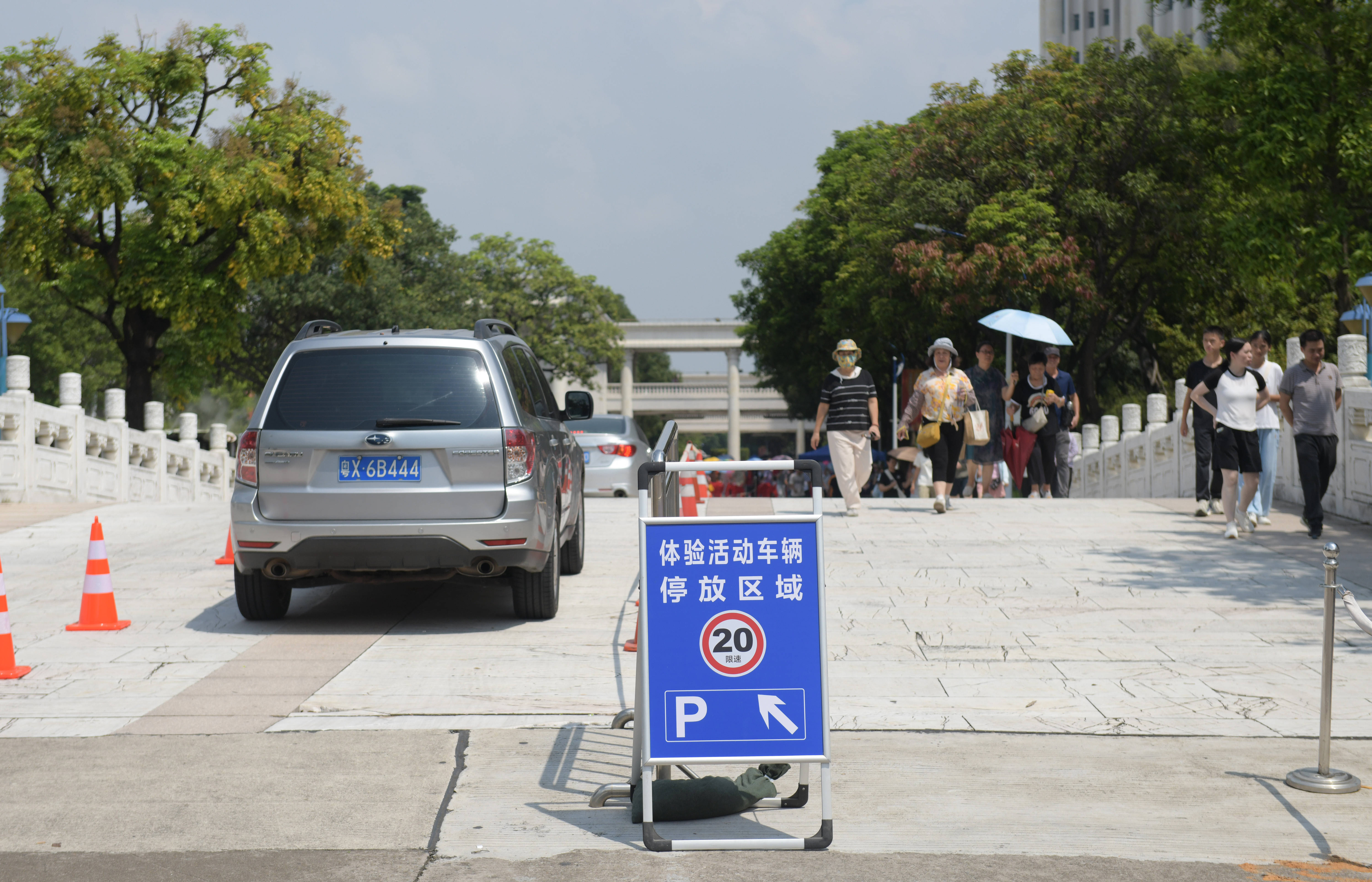 国庆假期政府大院免费停车火了：全国多省份开放便民新举措