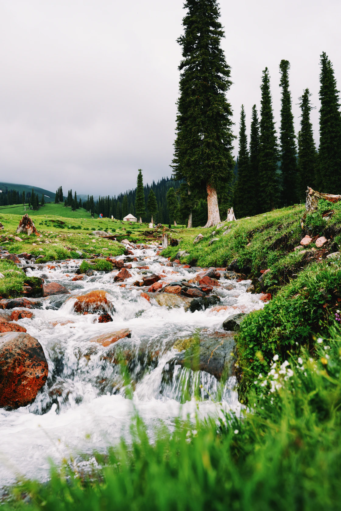 那拉提的48小时