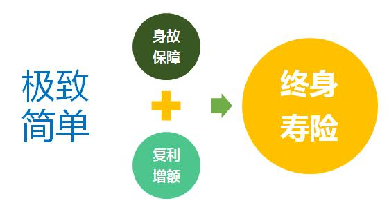 增额终身寿险概念图