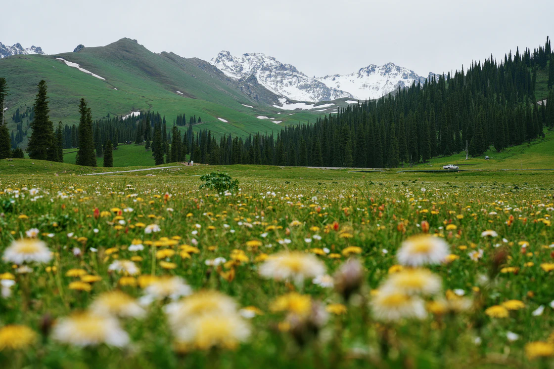 那拉提的48小时