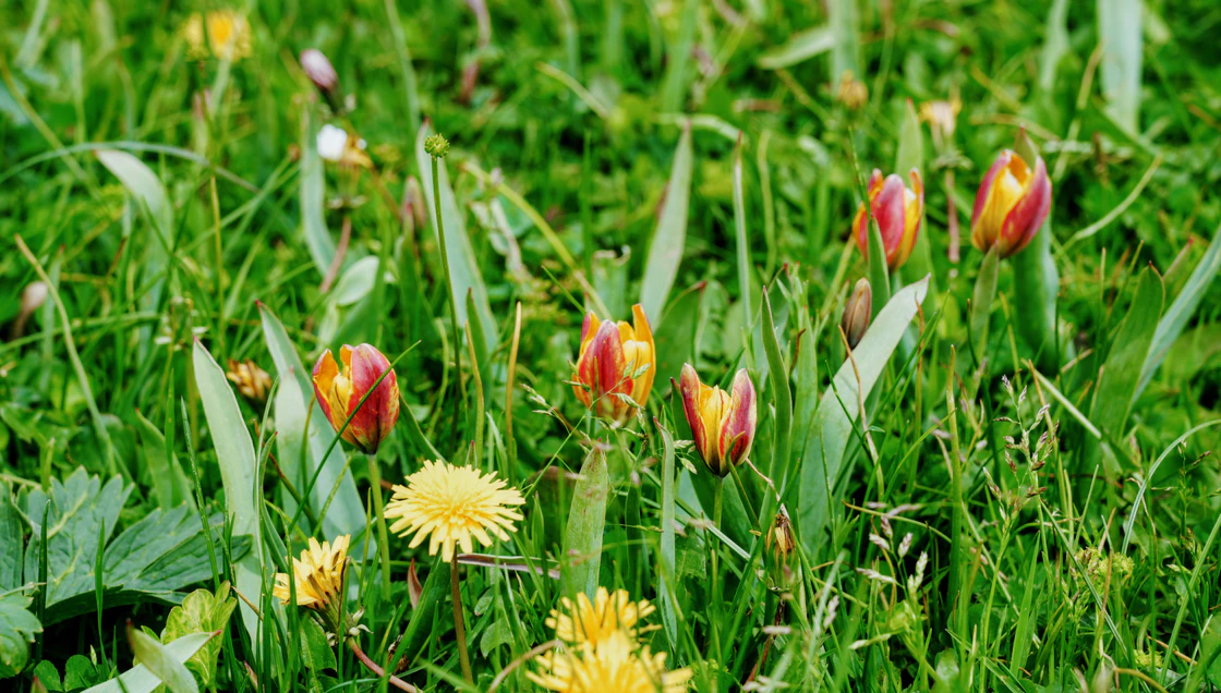 那拉提的48小时