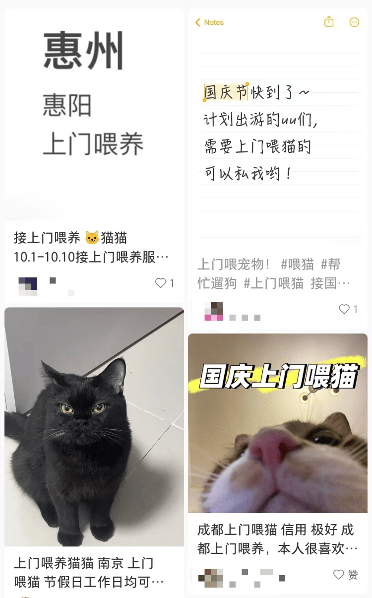 男子接270单上门喂养 最高1单8100元，上海资深宠托师晒出服务清单