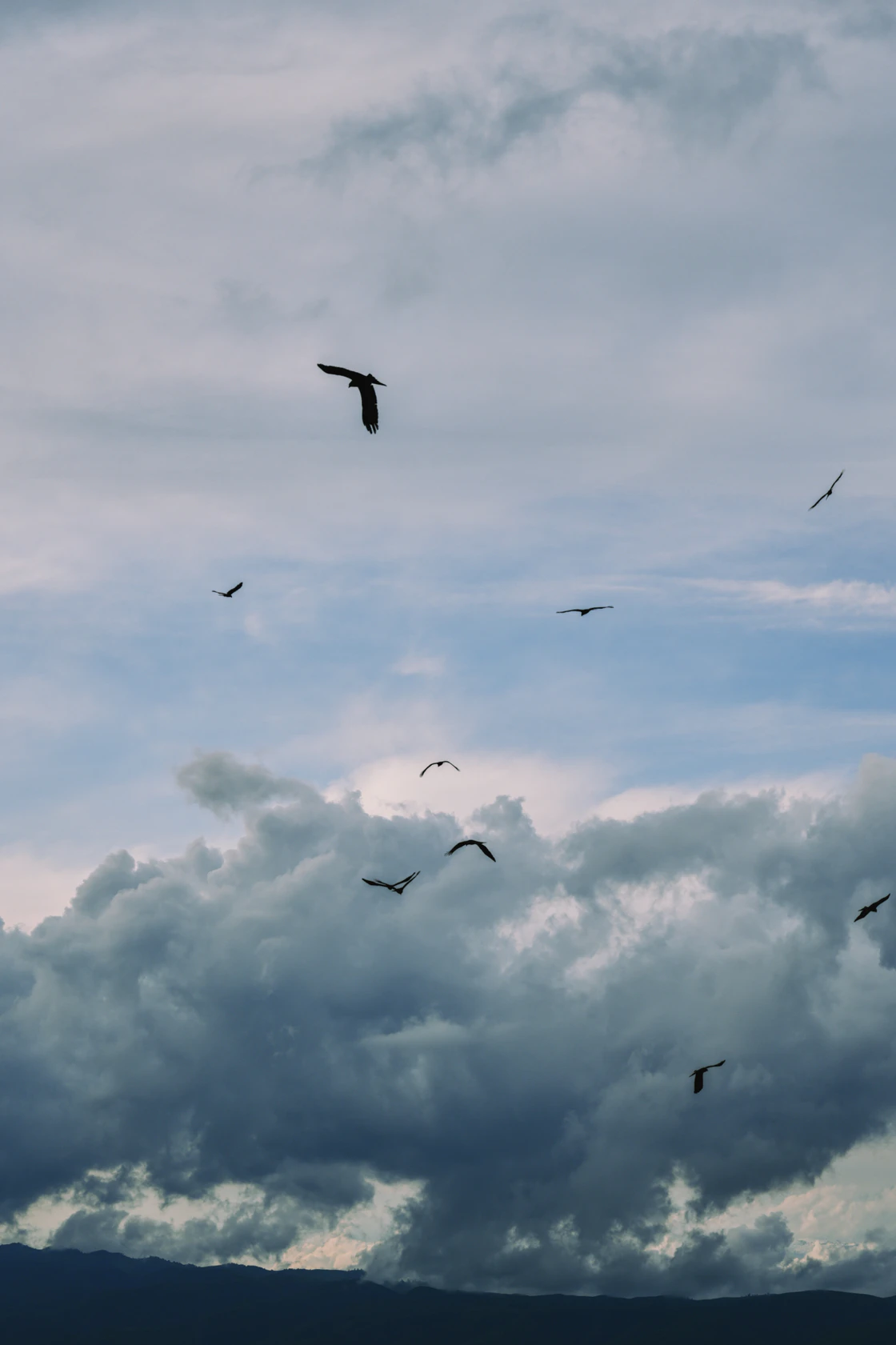 那拉提的48小时