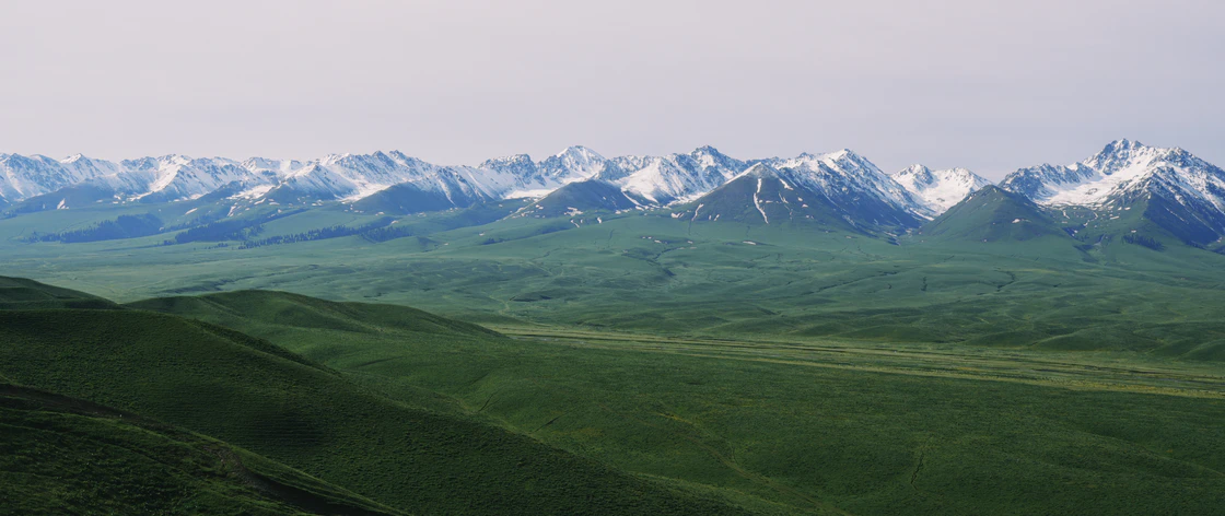 那拉提的48小时