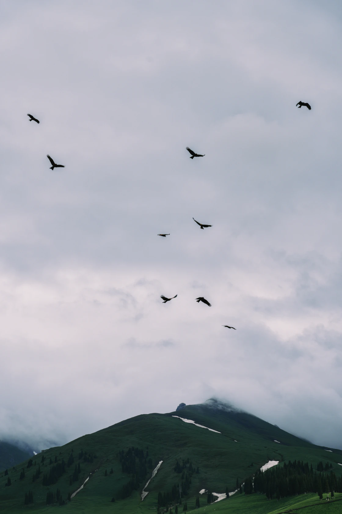 那拉提的48小时