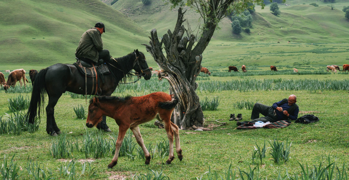 那拉提的48小时