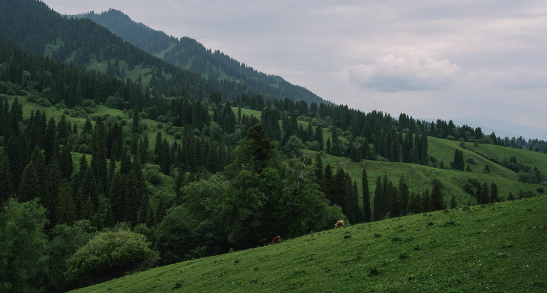 那拉提的48小时