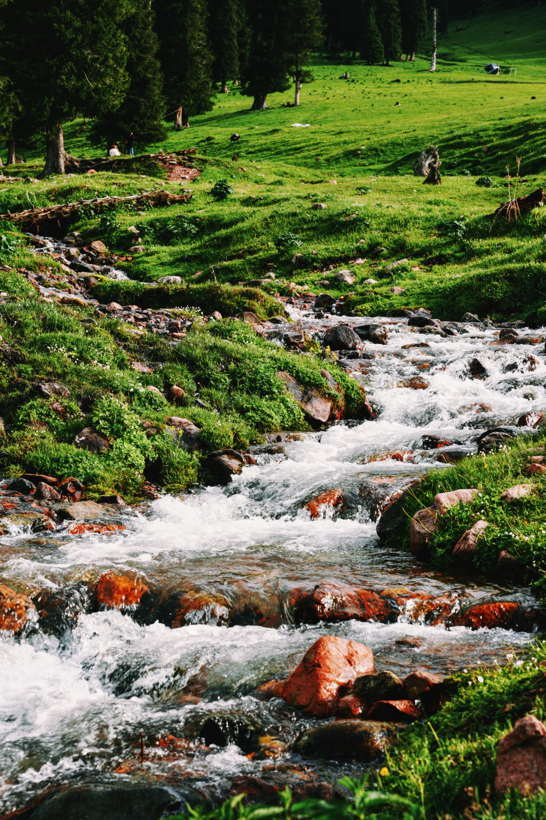 那拉提的48小时