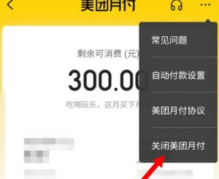 美团月付设置界面