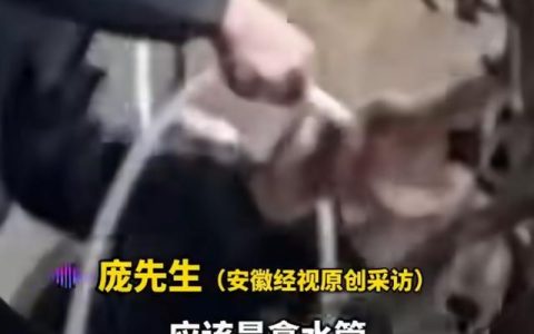 活牛被商贩从嘴里强注200斤水，活牛注水黑幕：你买的 40 元牛肉半是自来水