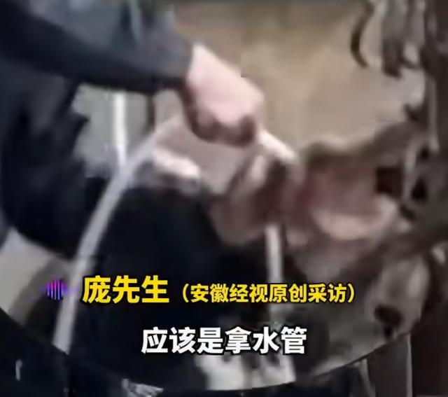 活牛被商贩从嘴里强注200斤水，活牛注水黑幕：你买的 40 元牛肉半是自来水