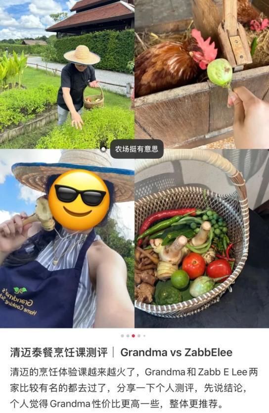 网球课60块，清迈成了打工人的“中产班”