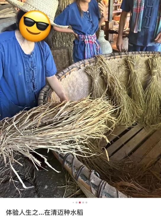 网球课60块，清迈成了打工人的“中产班”