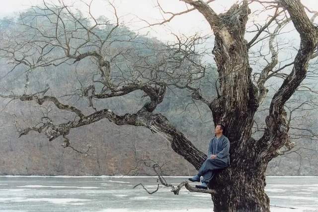 第一批出家的00后已经还俗了，修行不在庙，在扛 10 小时加班