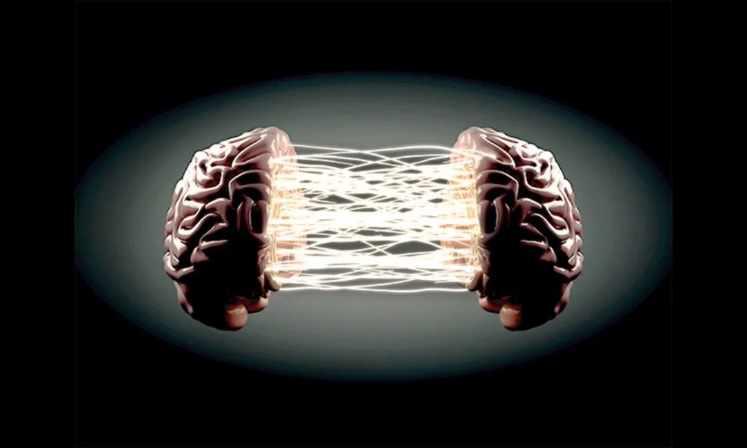如何保护你的大脑,提升认知?听听脑科学专家怎么说