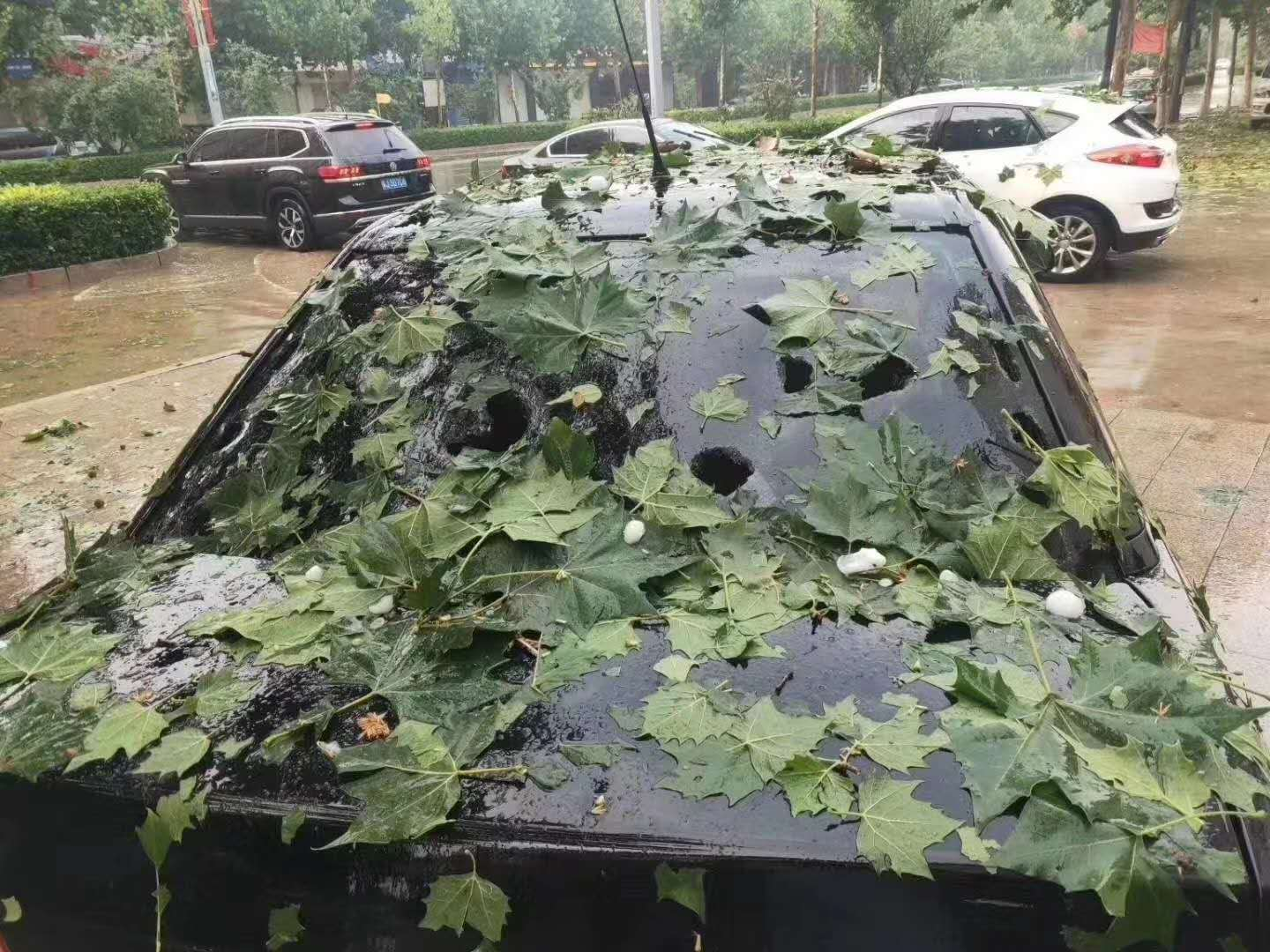 冰雹砸伤车辆现场照片
