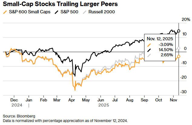 2024-2025年大盘股与小盘股波动对比曲线图